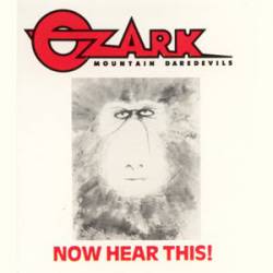 Ozark Mountain Daredevils : Now Hear This!